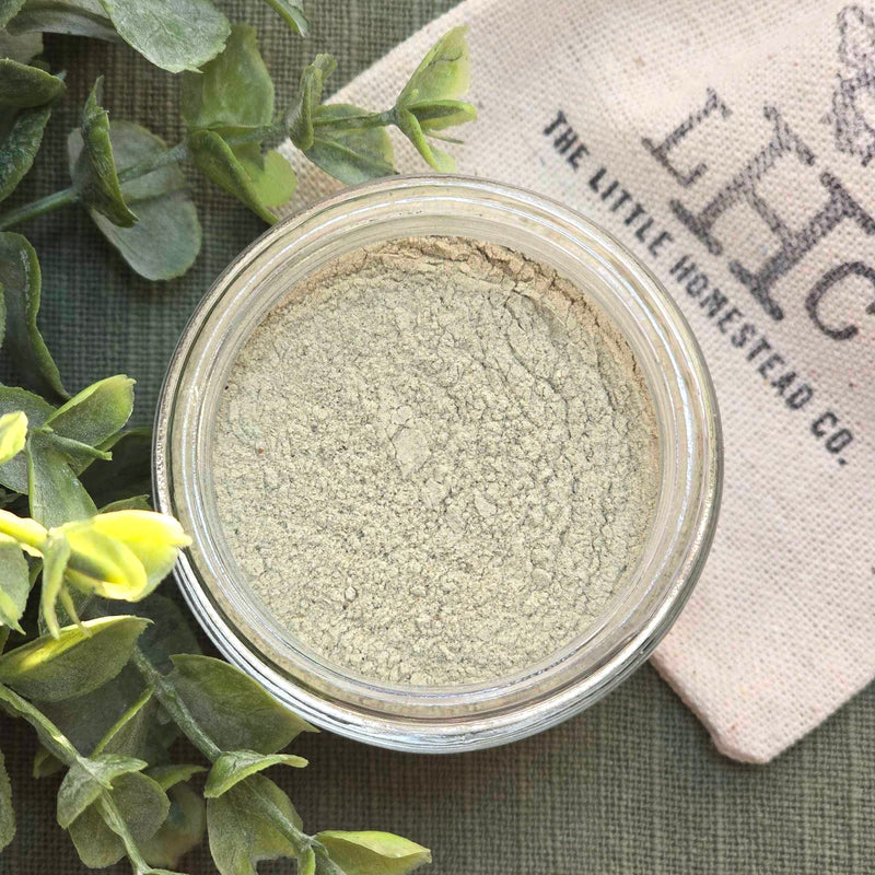 NEW ToothPowder: Orange Cream